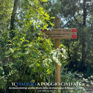 Tabella sentiero CAI per trekking a Poggio Civitate